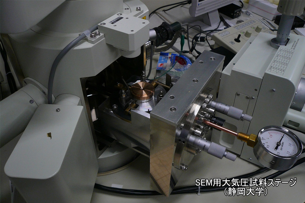 SEM用大気圧試料ステージ