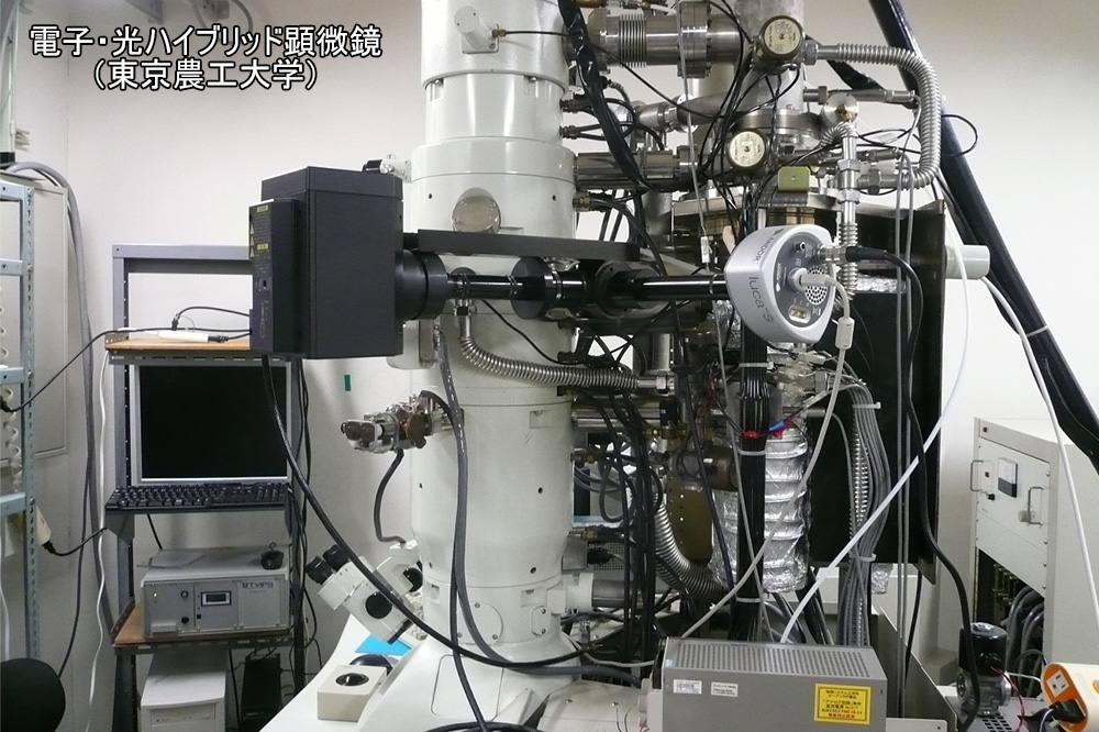 電子・光ハイブリッド顕微鏡